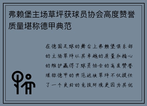 弗赖堡主场草坪获球员协会高度赞誉质量堪称德甲典范